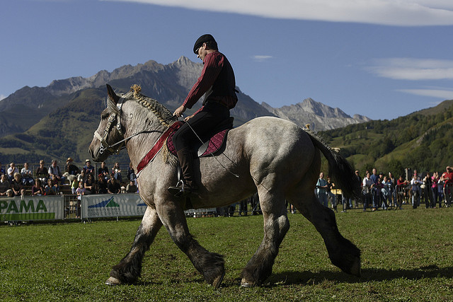 Fete du cheval de trait a Aucun - Tourisme autour de nos gites en val d'Azun dans les Pyrenees