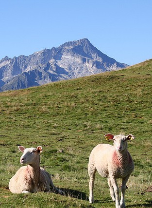 Gîtes en Val d'Azun dans les Pyrenees